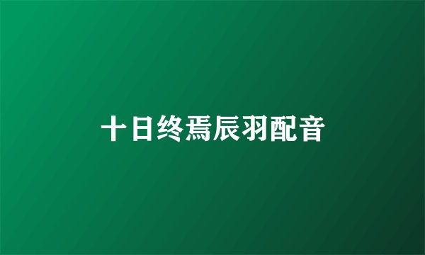 十日终焉辰羽配音