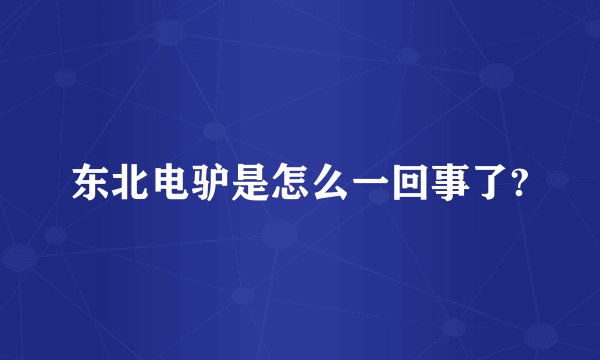 东北电驴是怎么一回事了?