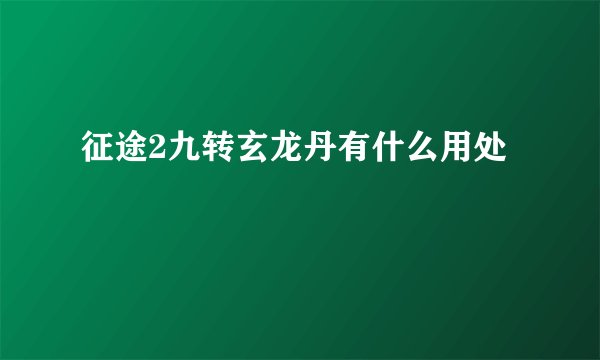 征途2九转玄龙丹有什么用处