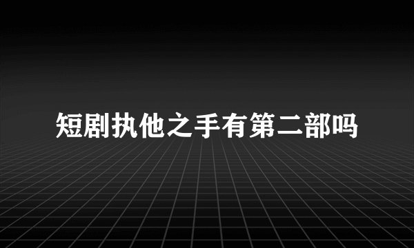 短剧执他之手有第二部吗