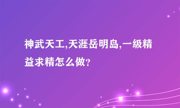 神武天工,天涯岳明岛,一级精益求精怎么做？