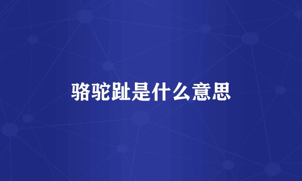 骆驼趾是什么意思