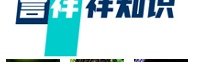 LOL德玛西亚之力盖伦怎么玩,出装天赋加点攻略