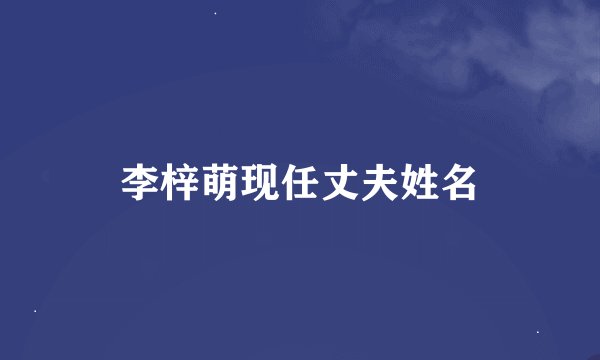 李梓萌现任丈夫姓名
