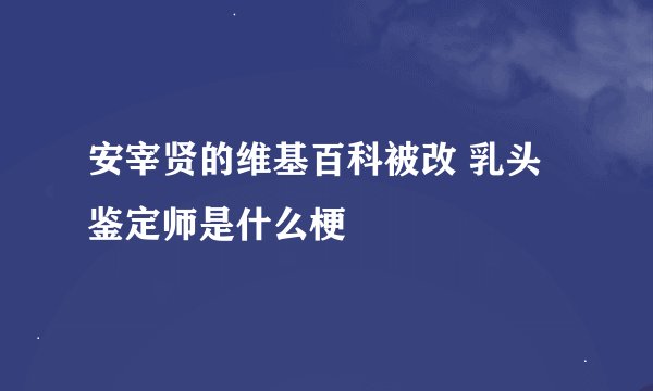 安宰贤的维基百科被改 乳头鉴定师是什么梗