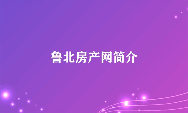 鲁北房产网简介