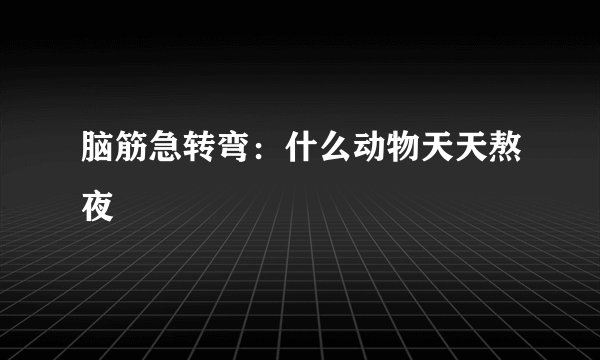 脑筋急转弯：什么动物天天熬夜