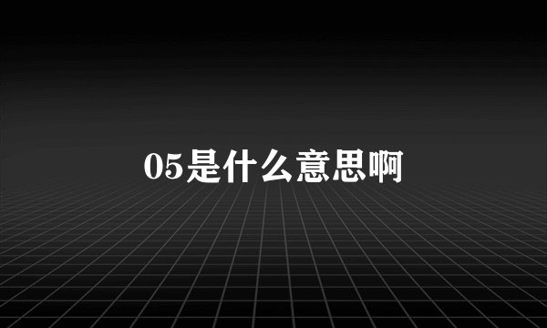 05是什么意思啊