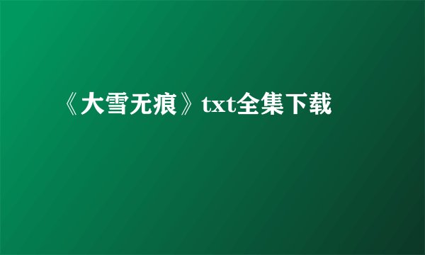 《大雪无痕》txt全集下载