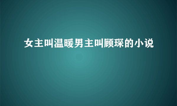 女主叫温暖男主叫顾琛的小说