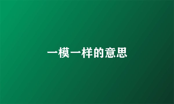 一模一样的意思