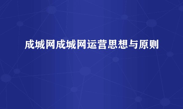 成城网成城网运营思想与原则