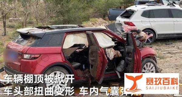 于月仙车祸地一年上百头牲畜被撞死 这是咋情况?