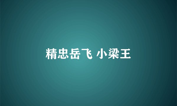 精忠岳飞 小梁王
