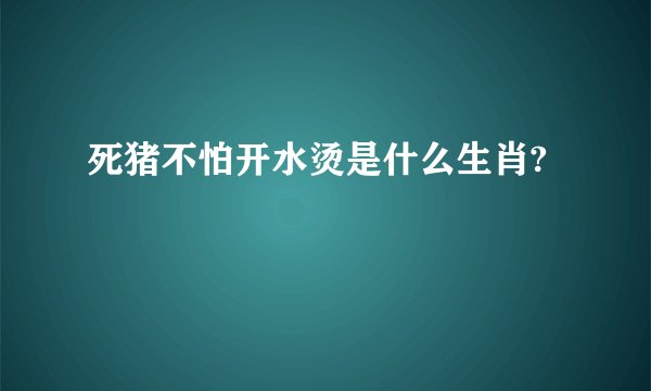 死猪不怕开水烫是什么生肖?