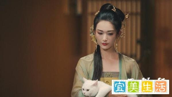 《雪中悍刀行》徐凤年到底有几个女人？