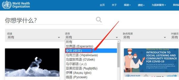 联合国世界卫生组织证书怎么考