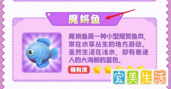 摩尔庄园下雨天可以钓哪些鱼?(全攻略)