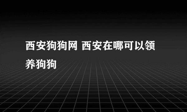 西安狗狗网 西安在哪可以领养狗狗