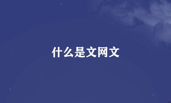 什么是文网文