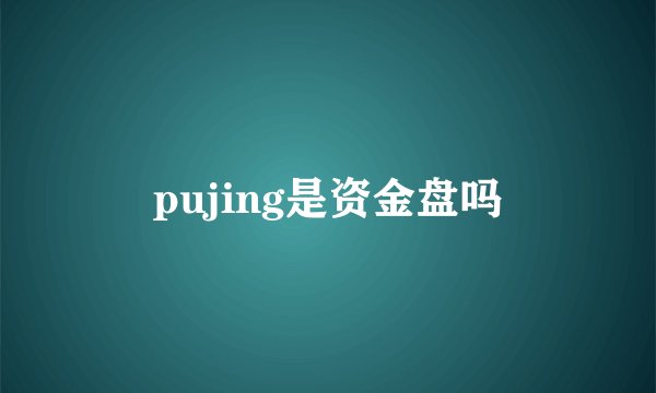 pujing是资金盘吗