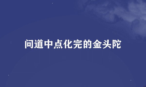 问道中点化完的金头陀