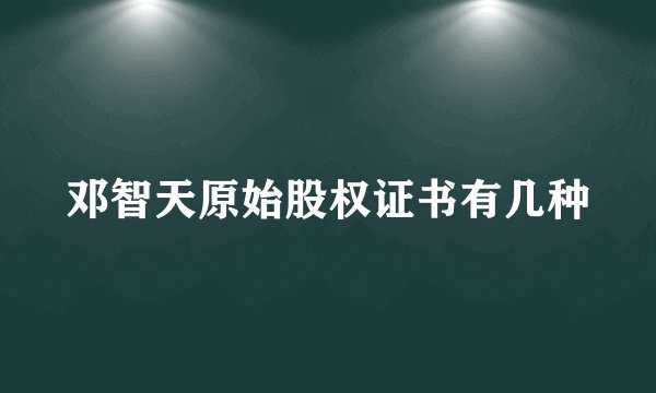 邓智天原始股权证书有几种