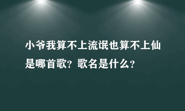 小爷我算不上流氓也算不上仙是哪首歌？歌名是什么？