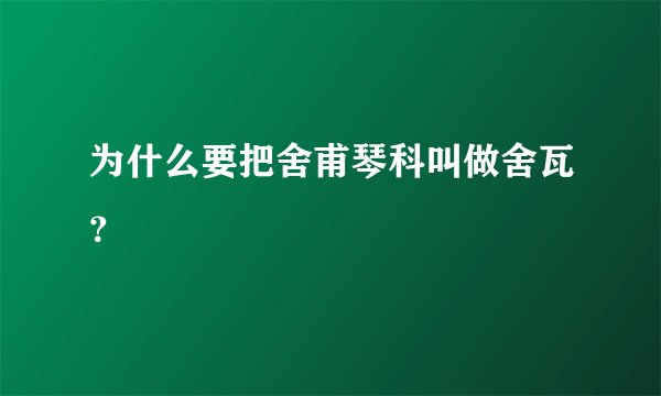 为什么要把舍甫琴科叫做舍瓦?