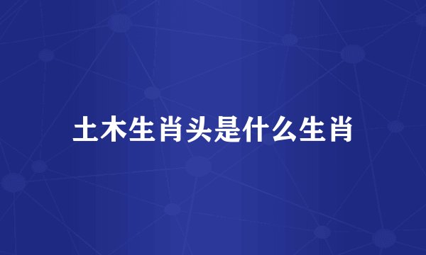 土木生肖头是什么生肖