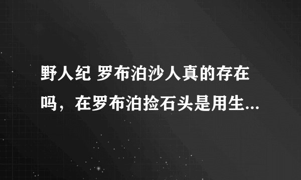 野人纪 罗布泊沙人真的存在吗，在罗布泊捡石头是用生命赌博吗