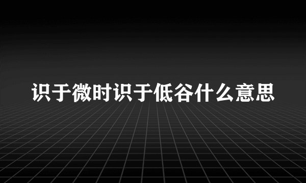 识于微时识于低谷什么意思
