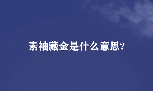 素袖藏金是什么意思?