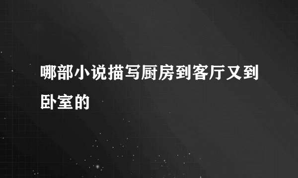 哪部小说描写厨房到客厅又到卧室的