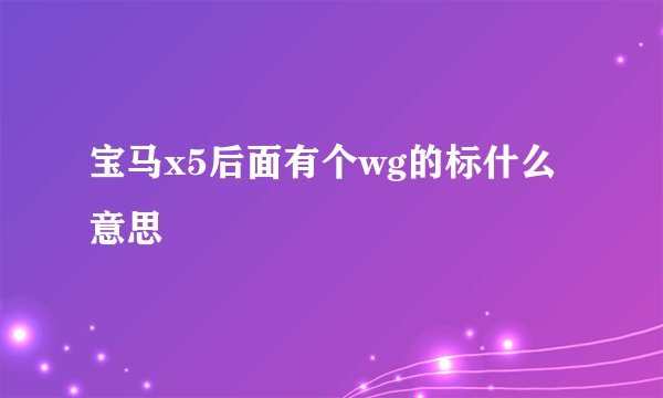 宝马x5后面有个wg的标什么意思