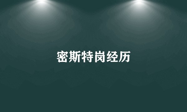 密斯特岗经历