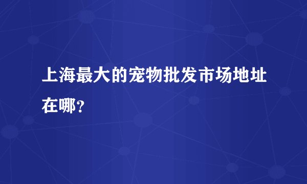 上海最大的宠物批发市场地址在哪？