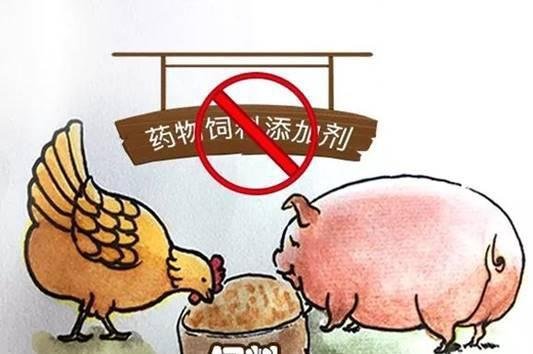 脲酶抑制剂的作用是什么