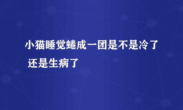 小猫睡觉蜷成一团是不是冷了 还是生病了