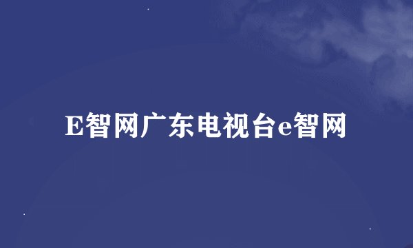 E智网广东电视台e智网
