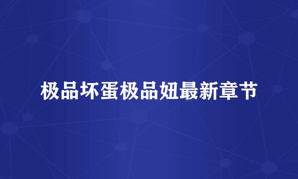 极品坏蛋极品妞最新章节