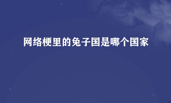 网络梗里的兔子国是哪个国家