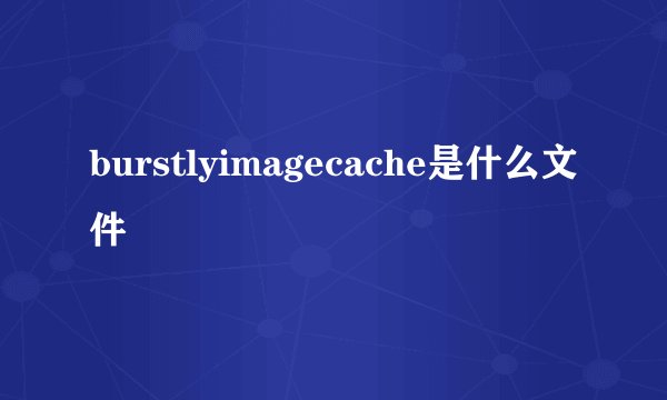 burstlyimagecache是什么文件