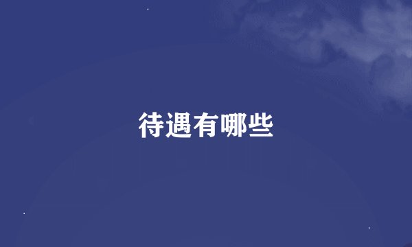 待遇有哪些