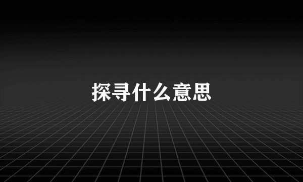 探寻什么意思