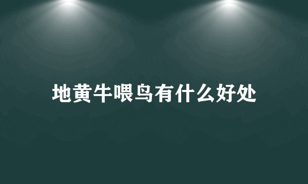 地黄牛喂鸟有什么好处