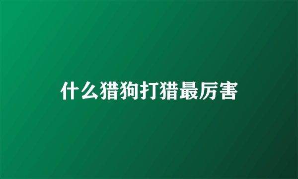 什么猎狗打猎最厉害