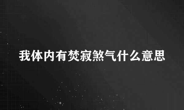 我体内有焚寂煞气什么意思