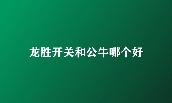 龙胜开关和公牛哪个好