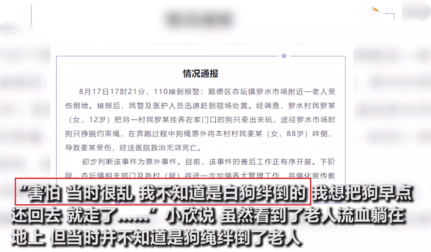 牵狗少女回应“逃跑”:当时并不知道是狗绳绊倒了老人,她的话可信吗?